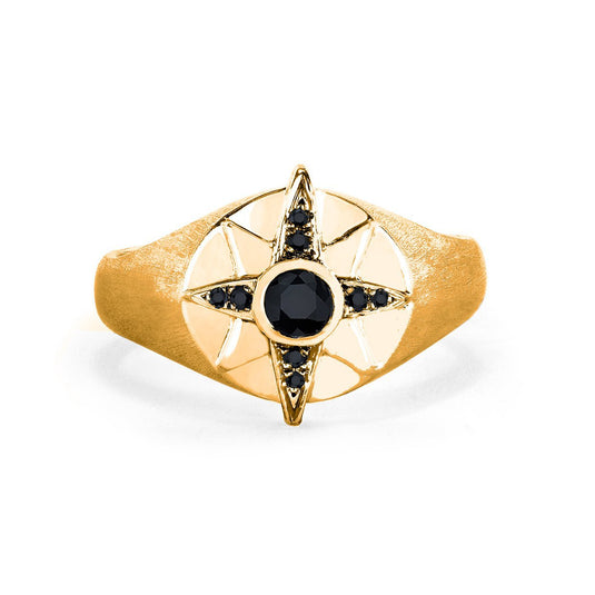 Men's North Star Signet Ring | Ready to Ship Yellow Gold 8.5 by Logan Hollowell Jewelry